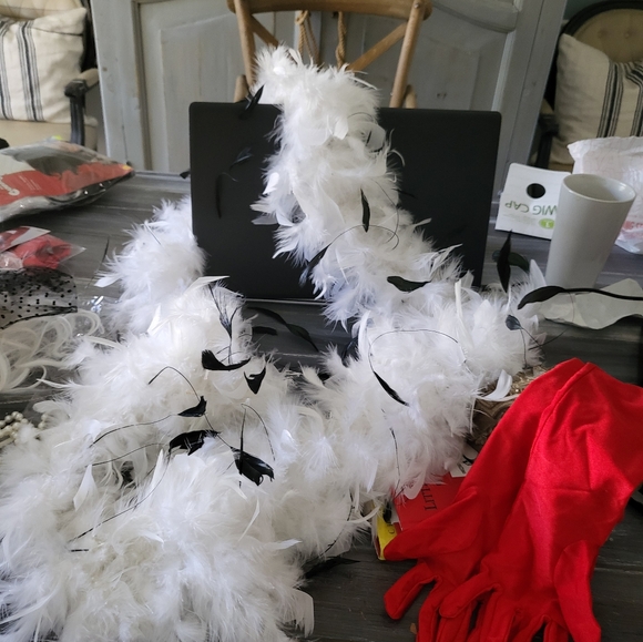 Cruella Deville Costume set Wig + Accessories - Picture 8 of 8